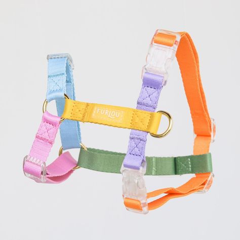 Furlou ⇾ Dog Accessories (@furlou_) • Instagram photos and videos Rainbow Dog, Rope Leash, Poop Bag Holder, Bag Holder, Dog Harness, Dog Accessories, Dog Leash, D Ring, O Ring