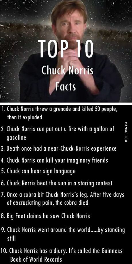 Top 10 Chuck Norris Facts                                                       … Chuck Norris Memes, Chuck Norris Funny, Chuck Norris Facts, Chuck Norris Jokes, Ju Jitsu, Chuck Norris, Humor Memes, Funny Dude, Grumpy Cat