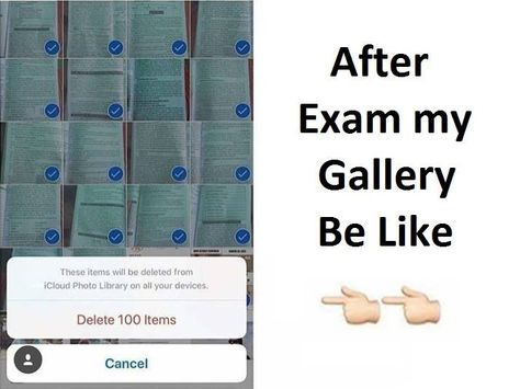 So damn true...😂😂😂😅 Funny School Quotes, After Exam, Exams Funny, Exam Quotes, Book Reports, Exam Quotes Funny, Funny Texts Jokes, School Quotes Funny, Funny School