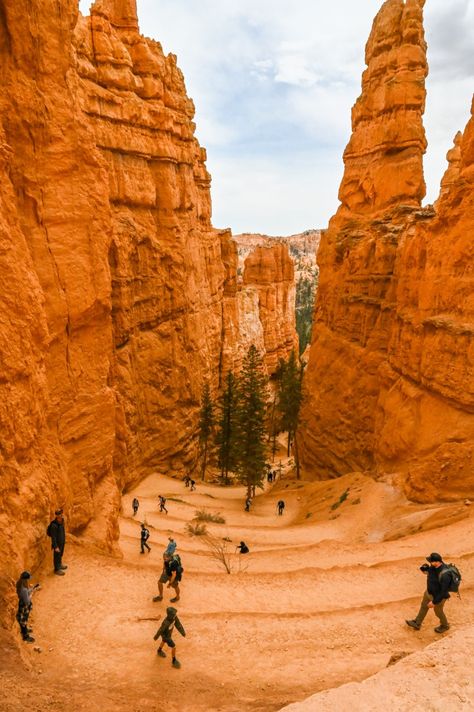 10 Best Hikes in Bryce Canyon National Park Brice Canyon Utah, Glen Canyon National Park, Bryce National Park, Usa Places, Trip To Grand Canyon, Glen Canyon, Usa Trip, Utah Road Trip, Desert Landscapes