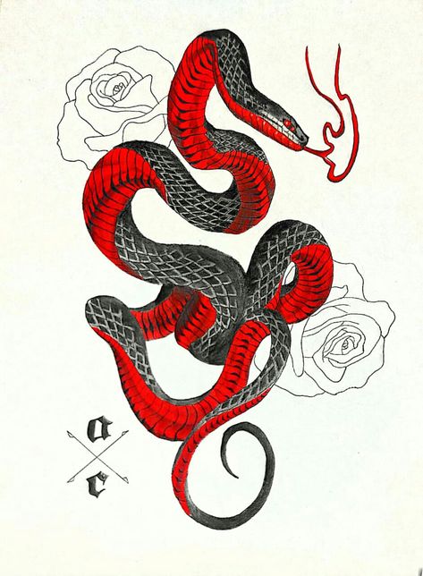 Red Snake Drawing, Red Belly Black Snake Tattoo, Coiled Snake Drawing, Red And Black Snake Tattoo, Snake Doodle, Black Snake Tattoo, Red And Black Snake, Snake Painting, Dragon Tattoo Art