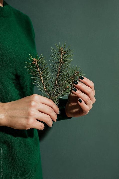 Christmas Tree Photoshoot, Pine Tree Branch, Winter Green, Christmas Shoot, Minimal Christmas, Consumer Insights, Jewelry Photoshoot, Winter Photo, Minimal Jewelry