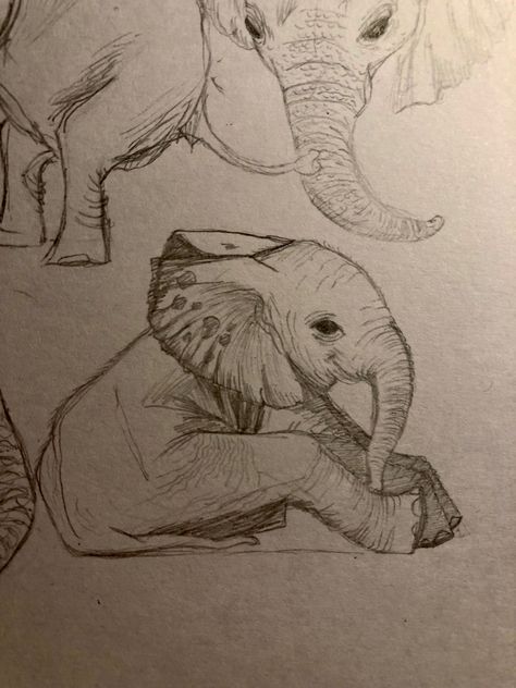 #babyelephant #baby #elephant #illustration #cute #adorable Sleeping Sketch, Elephant Aesthetic, Aesthetic Sketch, Elephant Illustration, Illustration Cute, School Project, Baby Elephant, Art Stuff, School Projects