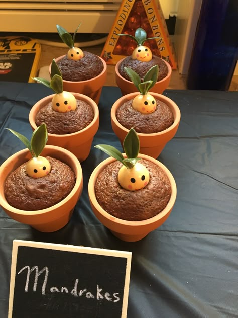 Mandrake cupcakes  I got the mini pots from Marshall’s, along with the doll heads which were in a variety pack of sizes, and then hot glued leaves from one of those fake Marshall’s plants!   Definitely the hit of the party Mandrake Cupcakes Harry Potter, Hufflepuff Birthday Party Ideas, Harry Potter Dog Party, Harry Potter Second Birthday, 9 3/4 Birthday, Slytherin Birthday Party, Mandrake Cupcakes, Harry Potter Theme Birthday Party, Harry Potter Tea Party