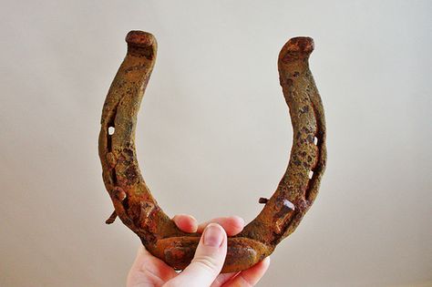 how-to-clean-an-old-horseshoe How To Clean Horseshoes, Prek Crafts, Horseshoe Crafts Projects, Diy Hooks, Horseshoe Crafts, Were Expecting, Us When, Antique Tools, How To Remove Rust