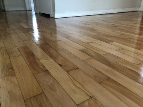 Staining Maple Hardwood Floors - Oil vs Water-Based Polyurethane - Hardwood Floor Refinishing Maple Wood Floor Stain Colors, Stained Maple Floors, Dark Maple Floors, Maple Floor Stain Colors, Refinished Maple Floors, Maple Wood Flooring, Maple Flooring, Floor Stain Colors, Wood Floor Stain Colors