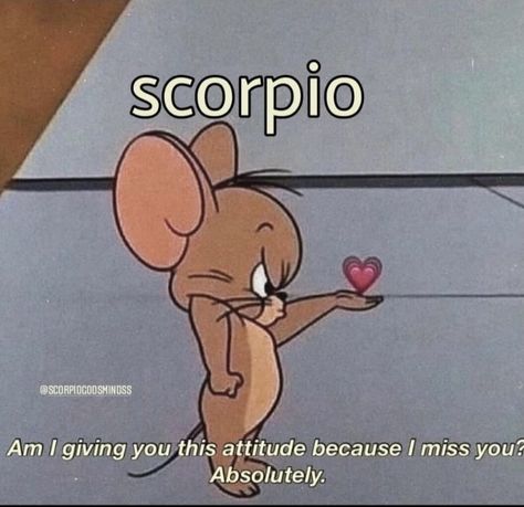 Zodiac Mind Scorpio, Scorpio Funny, Scorpio Energy, Scorpio Personality, Zodiac Quotes Scorpio, Astrology Scorpio, Aries Baby, Scorpio And Capricorn, Zodiac Meanings