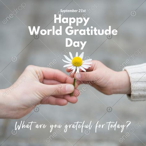 Thankful Social Media Posts, World Gratitude Day, Engagement Questions, Gratitude Day, Fun Holidays, 21 September, Content Calendar, Days And Months, Weird Holidays