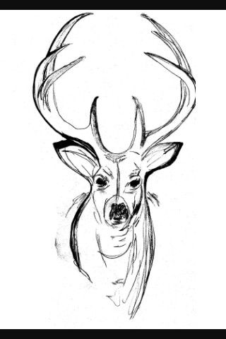 Buck sketch Buck Drawing, Cool Pictures To Draw, Easy Skull Drawings, Cool Easy Drawings, Planet Drawing, Drawing Ideas Easy, Clip Art Library, Skulls Drawing, Owls Drawing