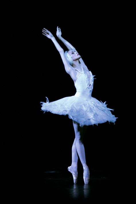 Ulyana Lopatkina Swan Lake, Ulyana Lopatkina, Ballerina Poses, Ballet Company, Swan Lake Ballet, Ballet Pictures, Ballet Beauty, Ballet Poses, Ballerina Style