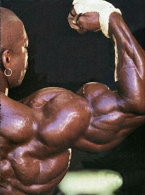 Flex Wheeler, Gym Wallpaper, Muscle Building Tips, Body Builders, Workout Splits, Arnold Classic, Mr Olympia, Lean Muscle Mass, Body Builder