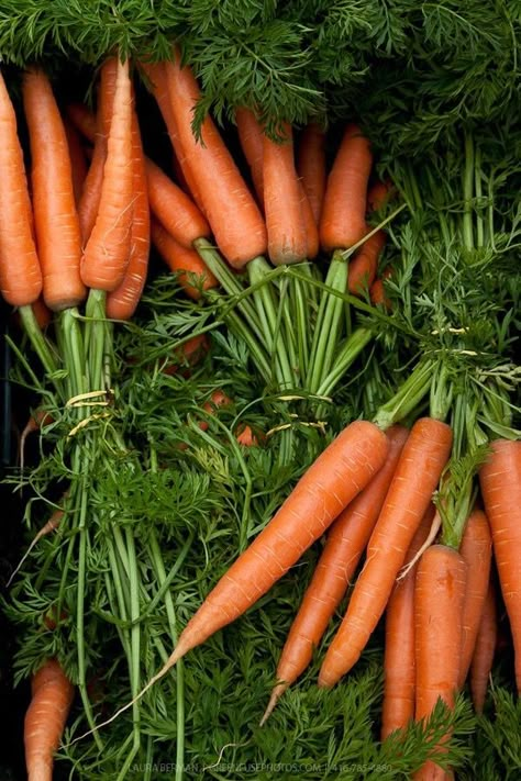 Food Photography Vegetables, Vegetables Photography, Vegetable Pictures, Farmers Market Recipes, Food Art Photography, Heirloom Vegetables, Farm Food, Fruit Photography, Nature's Bounty