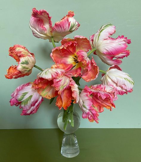 Watercolor Flower Arrangements, Tulip Arrangement Ideas, Tulip Parrot, Tulips Vase, Parrot Tulips Bouquet, Parrot Tulips Arrangement, Super Parrot Tulip, White Parrot Tulips, Tulips Aesthetic