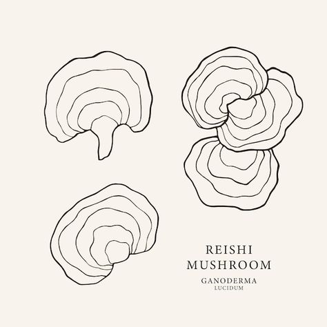 Fungi Illustration, Reishi Mushrooms, Mushroom Stock, Fungi Art, Brain Logo, Mushroom Drawing, Reishi Mushroom, Isometric Illustration, Mushroom Design