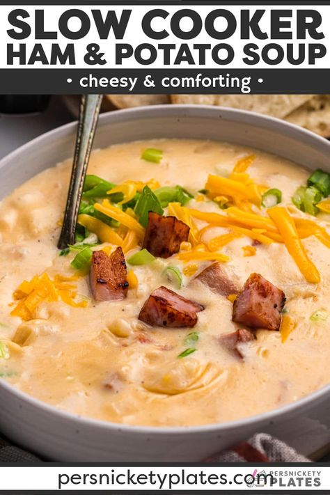 Ham Stew Recipes Crock Pot, Slow Cooker Cheesy Ham And Potato Soup, Ham Hock Potato Soup Crock Pot, Cheesy Ham And Potato Chowder, Ham Potato Cheese Soup Crock Pot, Easiest Crockpot Soup, Ham And Cheese Soup Crockpot, Ham And Hashbrown Soup, Cheesy Potato Soup With Ham