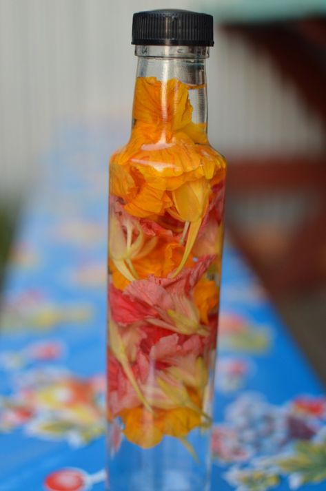 Nasturtium vodka at eating from the ground up. One more reason to long for next year's garden. Nasturtium Tincture, Nasturtium Flower, Edible Flowers Recipes, Foraging Recipes, Garden Cooking, Vodka Recipes, Herbal Recipes, Infused Vodka, Food Articles