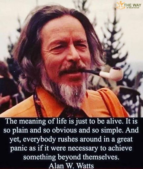 Allen Watts Quotes, Allen Watts, Alan Watts Quotes, Strength Quotes, Alan Watts, Spirit Science, Historical Quotes, Grilling Gifts, Meaning Of Life