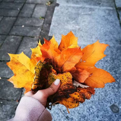 November Leaves, Leaves Video, Atmosphere Aesthetic, Autumn Street, Jeans Blazer, Boots Jeans, Fall Lookbook, Cute Couples Kissing, Autumn Aesthetic