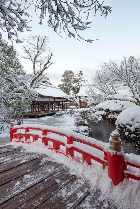 Christmas In Japan, Snow In Japan, Tokyo Winter, Japan Honeymoon, Winter In Japan, Japan Winter, Japan Landscape, Chinese Aesthetic, Japan Aesthetic