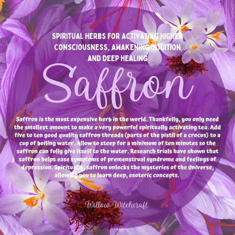 Saffron Magical Properties, Sulfur Magical Properties, Saffron Witchcraft, Saffron Spiritual Benefits, Saffron In Witchcraft, Magical Correspondences Herbs, St. John’s Wort Magical Properties, Fennel Seed Magical Properties, Saffron Tea