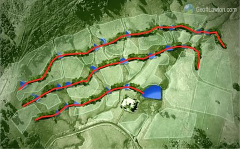 How to design a Food Forest in 20 minutes - Permaculture Apprentice Swales Permaculture, Food Forest Layout, Permaculture Design Layout, Food Forest Design, Backyard Food, Off Grid Homestead, Food Forest Garden, Map Creator, Farm Layout