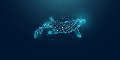 Whale Wallpapers Laptop, Whale Laptop Wallpaper, Galaxy Whale, Aquarium Museum, Shark Background, Sirius B, Turquoise Aesthetic, Garden Of Words, Whale Tattoos