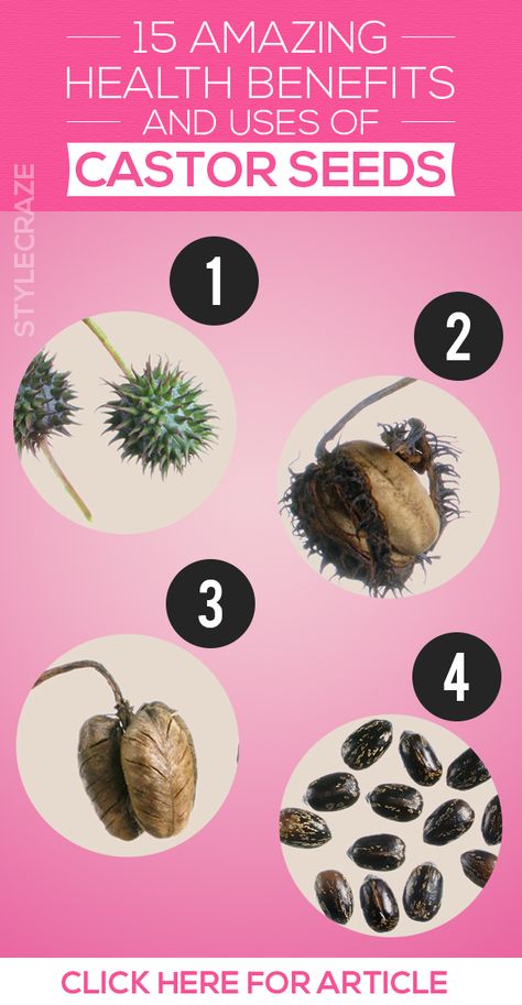 Castor seeds are the best bet when it comes to all of this. ... Using Castor Oil, Castor Bean, Castor Oil Benefits, Castor Seed, Urban Agriculture, Herb Pots, Oil Benefits, Perfect Skin, Alternative Medicine