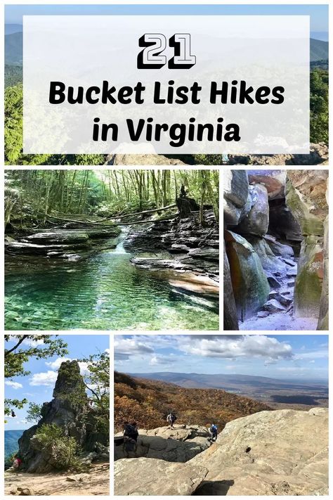 Best Hikes In Usa, Virginia Travel Destinations, Hiking In West Virginia, Best Hikes In Virginia, Living In Virginia, Fancy Gap Virginia, Virginia Travel Places To Visit, Camping Virginia, Elkton Virginia