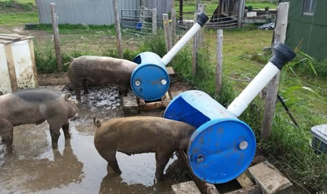 Simple Pig Pen Ideas, Hog Fence Ideas Pig Pen, Pig Feed Trough Ideas, Diy Hog Pen, Off Grid Homesteading, Pig Pens Diy, Pig Feeding Trough, Pig Feeders Ideas, Diy Goat Grain Feeder