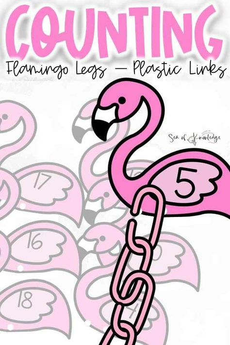 Flamingo Preschool Activities, Luau Activities, Flamingo Printables, Flamingo Projects, Early Childhood Education Classroom, Kindergarten Classroom Themes, Flamingo Cards, One To One Correspondence, Early Childhood Education Activities