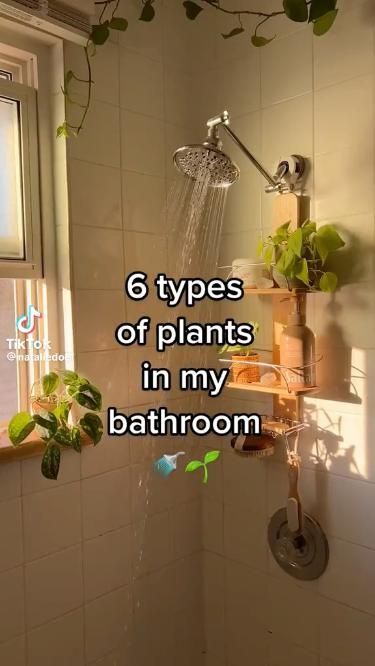 Pothos in Bathroom Decor
Trendy bathroom plants decor ideas || bathroom decoration with plants Macrame Hanging Plants, Fairy Bathroom, Inside Plants Decor, Decoration With Plants, Bathroom Plants Decor, Hanging Herbs, Plant Care Houseplant, Inside Plants, Growing Plants Indoors