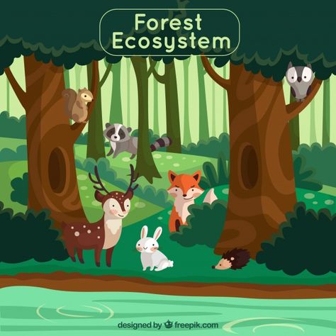 Forest ecosystem concept with lovely ani... | Free Vector #Freepik #freevector #tree #design #green #nature Jungle Animals Party, Illustration Animals, Nursery Safari, Forest Ecosystem, Cartoon Trees, Forest Nursery, Safari Animal Prints, Autumn Illustration, Forest Illustration