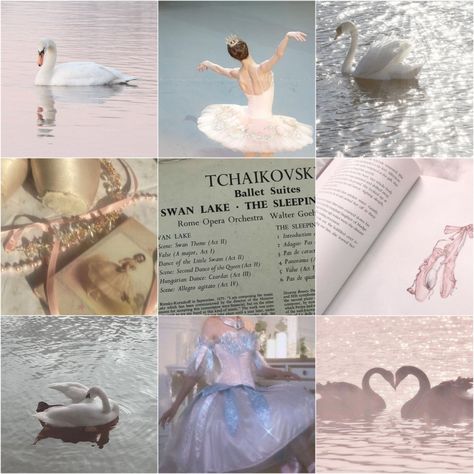 Swan Lake Aesthetic Outfit, Barbie Of Swan Lake Aesthetic, Swan Lake Themed Debut, Swan Lake Aesthetic Ballet, Swan Lake Ballet Aesthetic, Aurelia Aesthetic, Swan Moodboard, Barbie Swan Lake Aesthetic, Odette Aesthetic