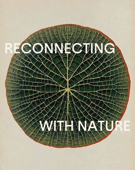 With nearly 85% of Americans living in urban areas, it’s become easier for us to lose touch with nature. We have somehow deprioritized the need to connect with the earth without being fully aware of what we’re missing out on. We may take for granted the palm trees in the distance on our morning commute or the river that runs underneath the bridge we cross to get across town. Read more on the power of nature though the link. Katie Scott, 𝘉𝘰𝘵𝘢𝘯𝘪𝘤𝘶𝘮 – 𝘎𝘪𝘢𝘯𝘵 𝘞𝘢𝘵𝘦𝘳𝘭𝘪𝘭𝘺 (2016) Eco Conscious Aesthetic, Fresh Graphic Design, Reconnecting With Nature, Nature Poster Design, Nature Graphic Design, We Are Nature, Nature Crown, Nature Magazine, Nature Club