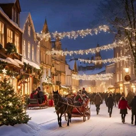 Sleigh Ride Aesthetic, Christmas Carriage, Christmas Sleigh Ride, Sleigh Rides, Christmas Sleigh, Outdoor Christmas Lights, Sleigh Ride, Christmas Makes, Make A Wish