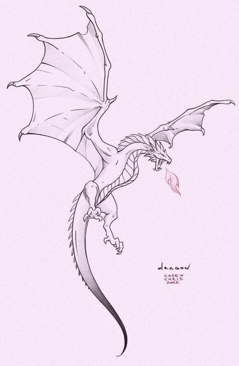 How To Draw A Dragon Face, Dragon Sketch Flying, Basic Dragon Drawing, Dragon Poses Flying, Western Dragon Drawing, Dragon Flying Drawing Reference, Dragon Blowing Fire Drawing, Tairn Fourth Wing Drawing, How To Draw Dragon Claws