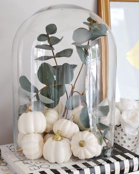 126 Likes, 13 Comments - Rose Angel Lopez (@designbyoccasion) on Instagram: “Looking for an affordable and easy fall decor idea? I found a box of these faux mini white pumpkin…” Diy Pumpkin Candle, Fall Centerpiece Ideas, Cloche Ideas, Cloche Decor, Fall Pumpkin Centerpieces, Rosé Angel, Fall Color Schemes, Fall Boards, Fall Tiered Tray Decor