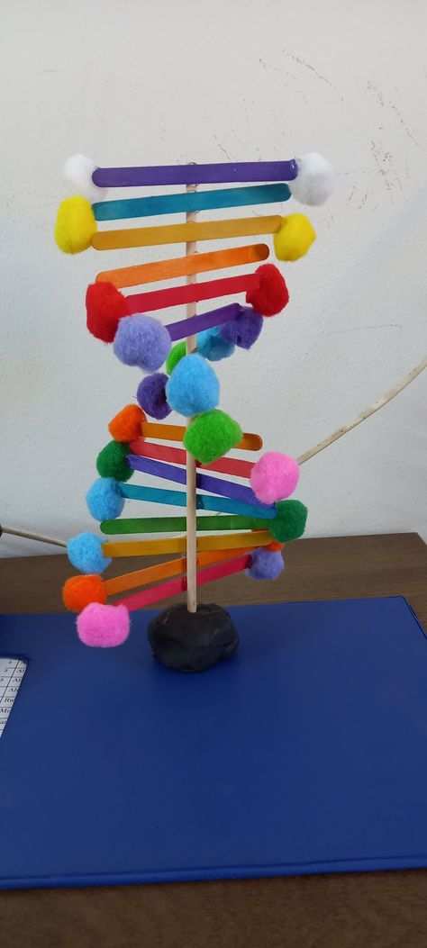 Homemade Dna Model, Creative Dna Model Project, Genetics Project Ideas, Dna Models Projects, Dna Strand Project, Easy Dna Model Project, Dna School Project, Dna Molecule Project, How To Make Dna Model