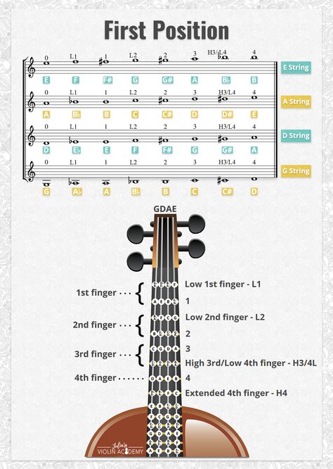 Violin Theory, Violin Beginner Learning, Violin Chords, Violin Fingering Chart, Violin Learning, Violin Tutorial, Play Violin, Music Theory Piano, Violin Teaching