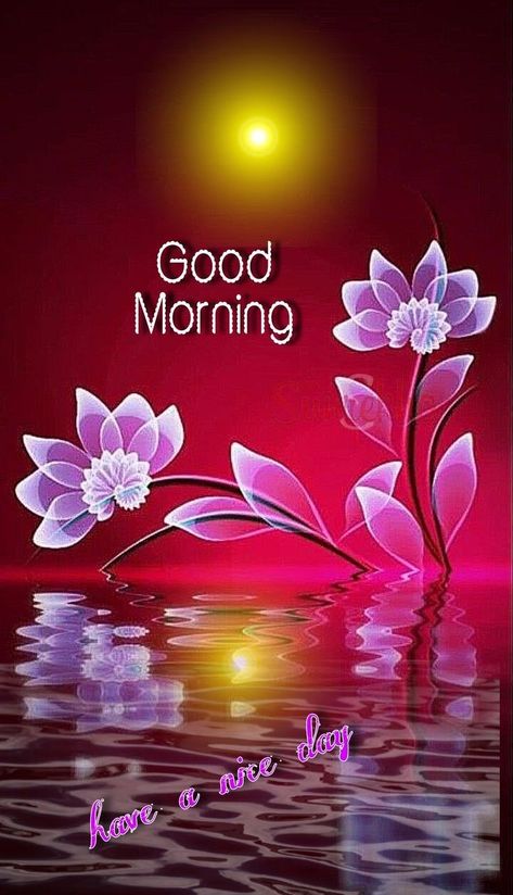 Good Morning Status, Good Night Friends Images, Latest Good Morning Images, Daily Wishes, Good Morning Kisses, Latest Good Morning, Morning Sweetheart, Morning Status, Good Morning Saturday