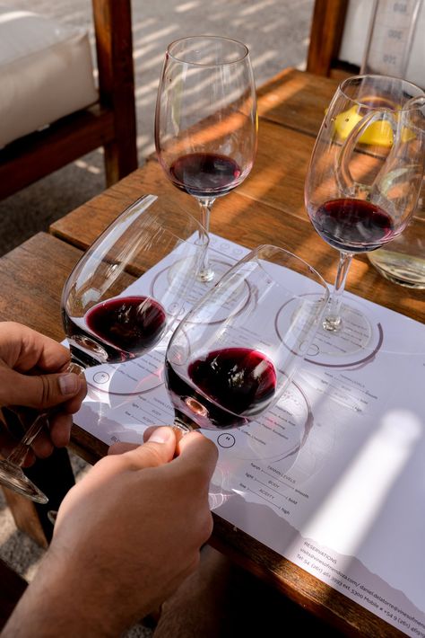 Learning to taste wine at The Vines of Mendoza // Via Stacie Flinner Wine Making Aesthetic, Wine Aethstetic, Sommelier Photoshoot, Wine Sommelier Aesthetic, Wine Event Ideas, Wine Learning, Sommelier Aesthetic, Learning About Wine, Vine Tasting