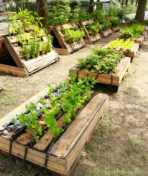 Raised Garden Bed Plans, Diy Garden Bed, Garden Boxes Raised, Building A Raised Garden, Diy Raised Garden, Raised Garden Beds Diy, Pallet Garden, Pallets Garden, Garden Boxes