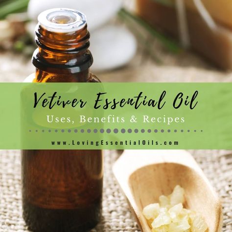 Vetiver Essential Oil Uses, Benefits and Recipes - EO Spotlight Vetiver Essential Oil Benefits, Vetiver Essential Oil Uses, Eo Blends, Anthropologie Candle, Vetiver Oil, Vetiver Essential Oil, List Of Essential Oils, Essential Oil Safety, Making Essential Oils