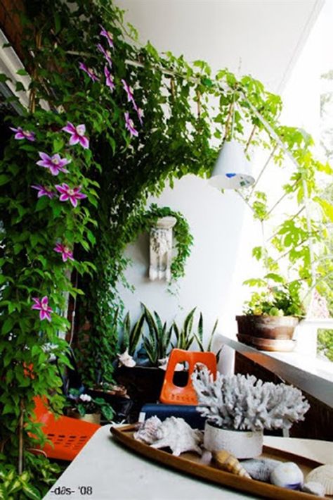 Amazing Balcony Ivy Ideas - Unique Balcony & Garden Decoration and Easy DIY Ideas Balcony Trellis, Shade Trellis, Arbor Arch, Apartment Patio Gardens, Clematis Trellis, Balcony Shade, Apartment Balcony Garden, Diy Balcony, Small Balcony Garden