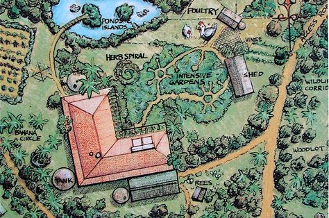 Permaculture and the Myth of Scarcity Property Layout, Bill Mollison, Homestead Layout, Food Forest Garden, Farm Plans, Farm Layout, Permaculture Gardening, Permaculture Design, Urban Homesteading