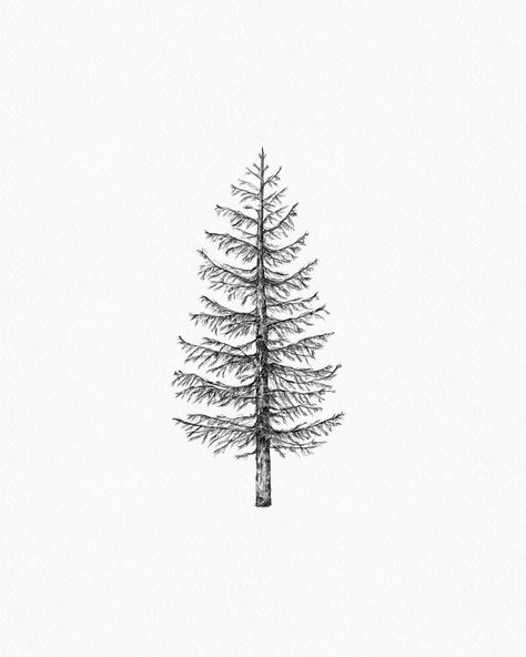 Finally had some time to draw again, so I drew a pine tree. 🌲 soon available in the webshop! . . . . . #inkylines #tekening #drawing… Tree Tat, Pine Tattoo, Tree Drawing Simple, Pine Tree Drawing, Pine Tree Tattoo, Cute Tats, Tree Drawings Pencil, Forest Tattoos, Tree Sketches