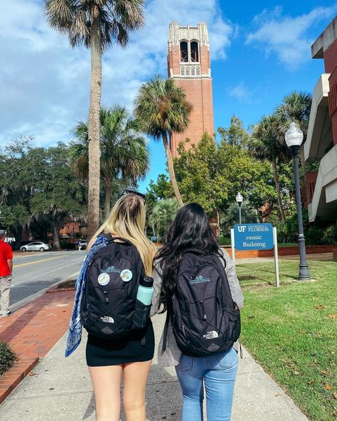 Uf Aesthetic, Uf Campus, Uf Panhellenic, Fsu Vs Uf, Panhellenic Council, Dream University, College Goals, Dream Dorm, College Motivation