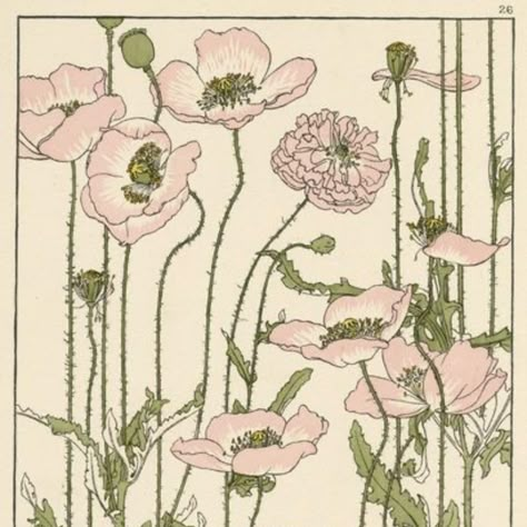 Pink Flower Drawing, Pink Drawing, Poppies Tattoo, Dorm Posters, Poppy Painting, Pink Poppies, Brown Fall, Pink Posters, Arte Floral