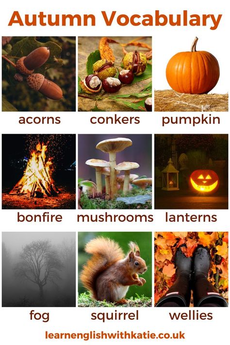 Autumn vocabulary picture dictionary - acorns, conkers, pumpkin, bonfire, mushrooms, lanterns, fog, squirrel, wellies Primary English Activities, English Autumn, Autumn Words, Fall Vocabulary, Autumn Food, Autumn Animals, Primary English, Fall Art Projects, Vocabulary Lessons