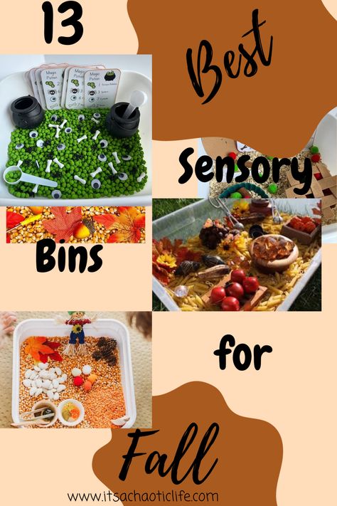 The perfect way to celebrate Fall is with sensory bins! They are perfect for kids of all ages and are easy to make and are sure to keep your little ones entertained for hours. With vibrant colors and fun textures, your kids will be mesmerized as they explore the exciting and dynamic range of items inside the bins. The bins include a variety of items like leaves, pumpkins, corn, and other seasonal elements, all designed to captivate and engage young minds. Fall Sensory Bins For Kindergarten, Fall Toddler Sensory Bins, Fall Sensory Bin Ideas, Fall Sensory Bin Kindergarten, October Sensory Bin Ideas, Pumpkin Patch Sensory Bin, Fall Sensory Table Ideas, September Sensory Bin Ideas, Fall Sensory Bin Toddlers